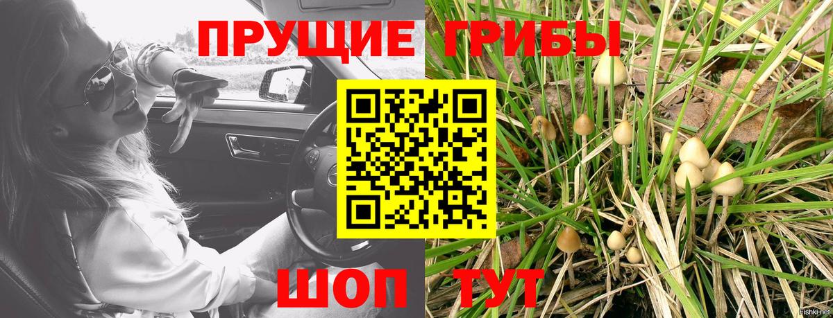 Псилоцибиновые грибы мицелий Ижевск