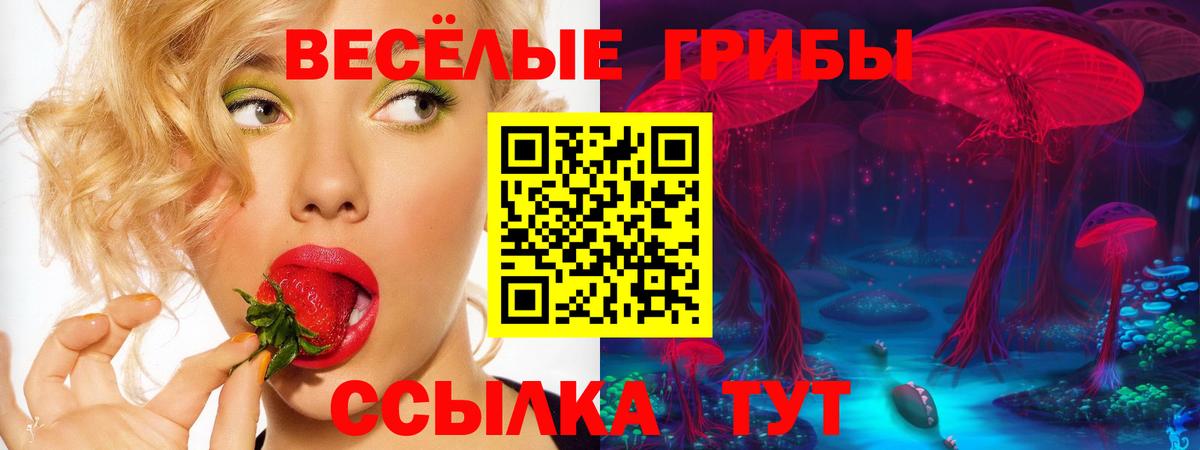 продажа наркотиков  Псилоцибиновые грибы GOLDEN TEACHER  Ижевск  Вход с VPN  Псилоцибиновые грибы Magic Shrooms 